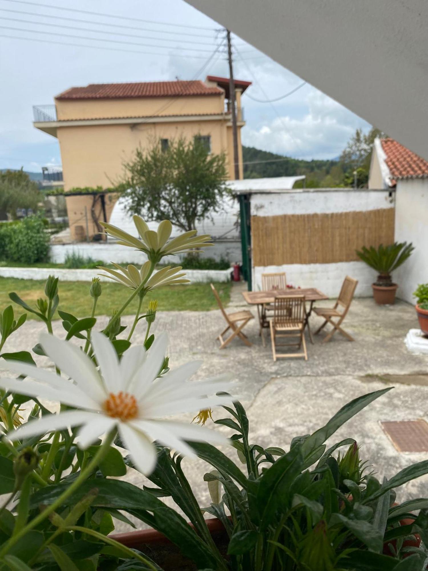 Navy Apartment With Mountain View &Private Parking Vátos 外观 照片